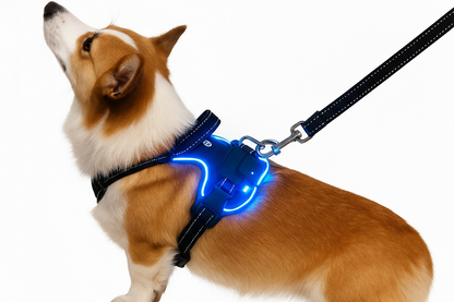 Arnés LED Ergonómico